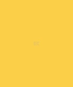 Pintura, amarillo zinc RAL 1018, 1 L
