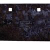 Plough share B-200