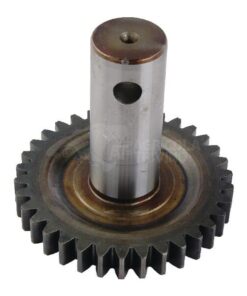 Piñón
