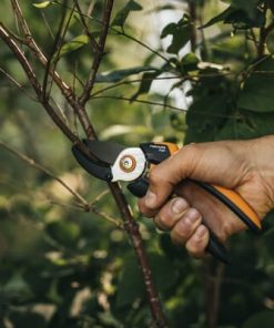 Tijeras de jardinería, podadora, macizas grandes, P361