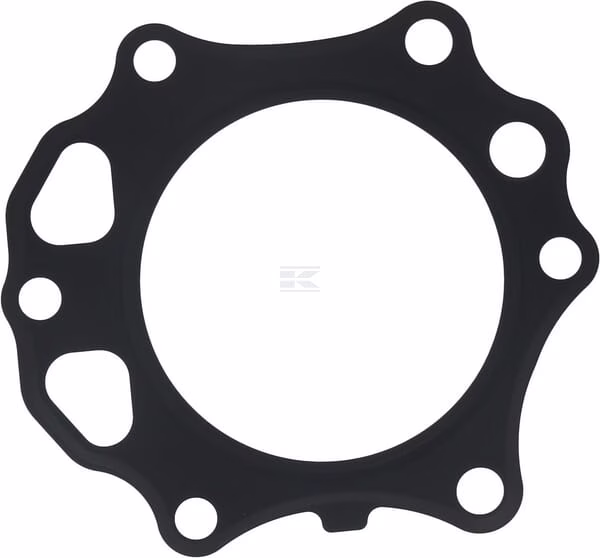Gasket-Head 1 Gasket-Head