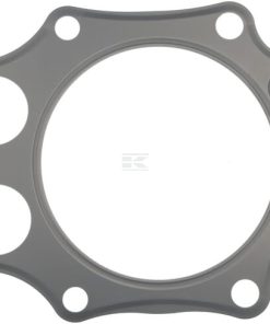 Gasket-Head