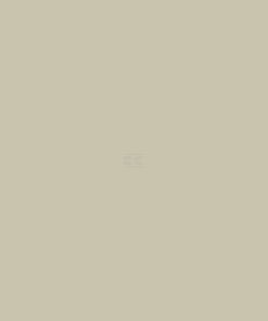 Pintura para FIAT-FIATAGRI, color beige, 1 L