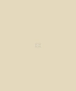 Pintura para ISEKI, beige, 1L
