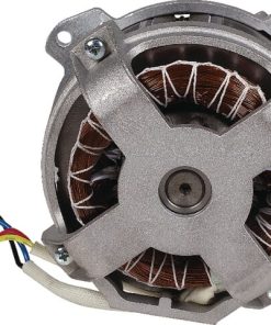Motor eléctrico 1000 W