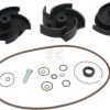 Repair kit 2" Poly pump FKM