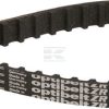 Correa distribución ZR 60T - 5/16"
