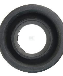 Tapa Belarus