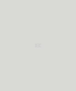 Pintura para LIEBHERR LTM, color gris-blanco, 1 L