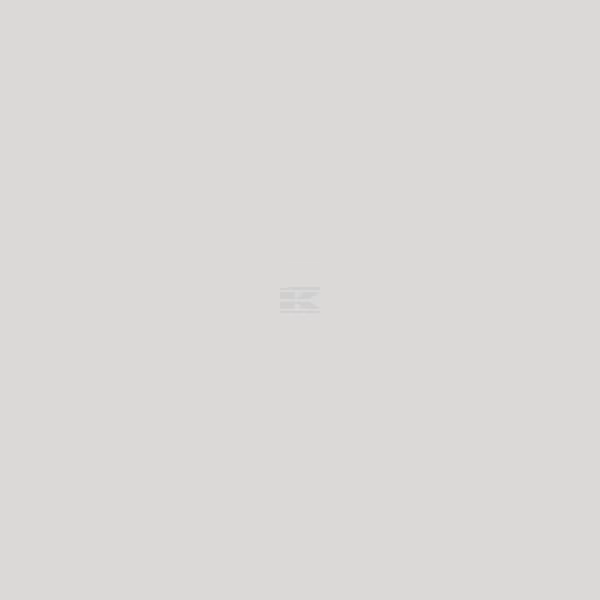 Pintura para LIEBHERR LTM, color gris-blanco, 1 L