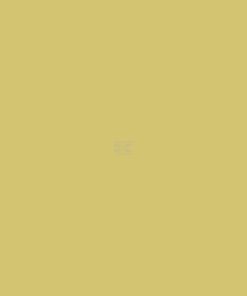 Pintura para MAN, color marfil, 1 L