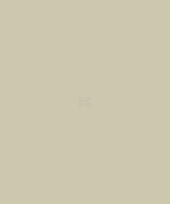 Pintura para MANITOU, color beige, 1 L