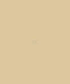 Pintura para RENAULT, beige, 1L