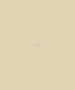 Pintura para SABO ROBERINE, amarillo, 1L