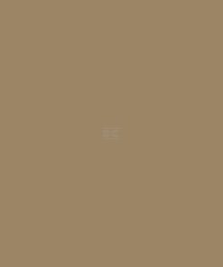 Pintura para SCHLÜTER, beige, 1L