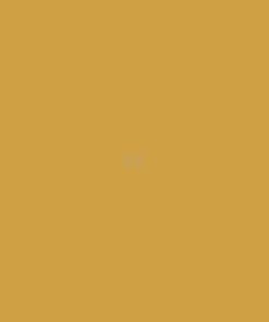 Pintura para VICON, color amarillo, 1 L