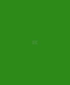 Verde McHale, 1L