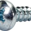 Tornillo para chapa