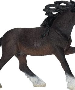 Caballo Shire