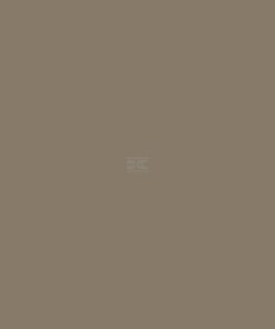 Pintura para ZETOR, beige, 1L