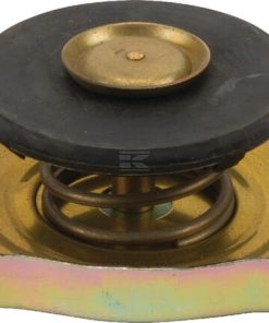 Tapa del radiador