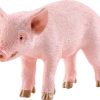 Cochinillo, de pie