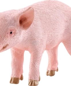 Cochinillo, de pie