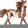 Caballo Pinto