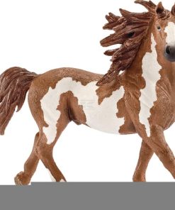 Caballo Pinto