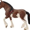 Yegua Clydesdale