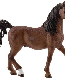 Caballo árabe