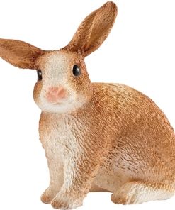 Conejo