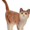 Gata