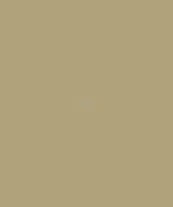 Pintura para ZWEEGERS, beige, 1L