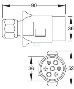 Plug 7 pin