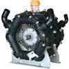 Bomba Poly 2300-VD Bertolini