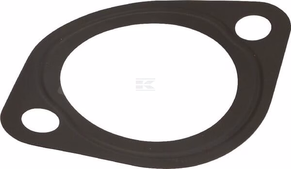 Junta del termostato 1 Thermostat gasket