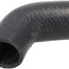 Water pipe