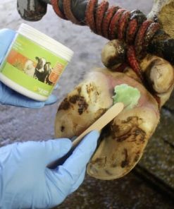 Hoof paste Podoseptan 2.0 450ml