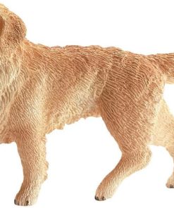 Perro Golden Retriever