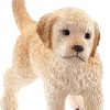 Cachorro de Golden Retriever 6 Cachorro de Golden Retriever