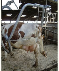 Hoof care frame with leg support