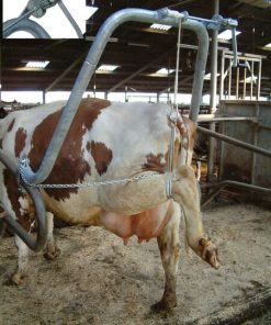 Hoof care frame with leg support