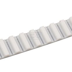 Correa dent. con fin T10 -16mm