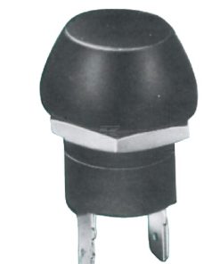 Interruptor pulsador