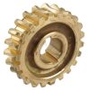 Worm gear