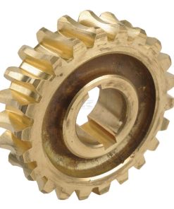 Worm gear