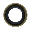 Gasket ring
