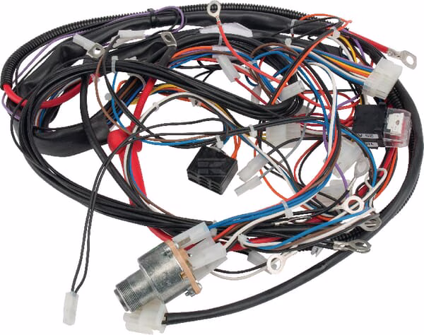Mazo de cables 1 Mazo de cables