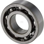 Rodamiento 6004 C3